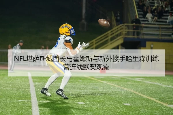 NFL堪萨斯城酋长马霍姆斯与新外接手哈里森训练营连线默契观察