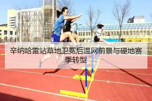 辛纳哈雷站草地卫冕后温网前景与硬地赛季转型