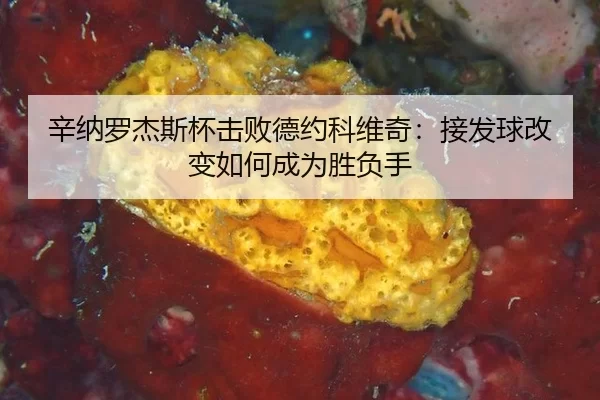 辛纳罗杰斯杯击败德约科维奇：接发球改变如何成为胜负手
